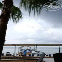 фото из отзыва ID 2739027