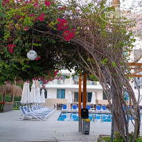 фото из отзыва ID 2739027