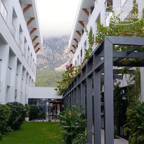 фото из отзыва ID 2739027