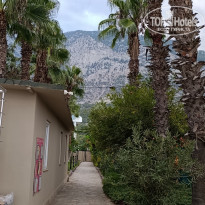 фото из отзыва ID 2739027