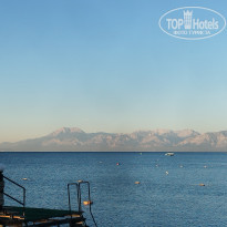 фото из отзыва ID 2739202