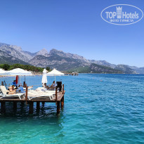 фото из отзыва ID 2739201