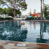 фото из отзыва ID 2739201