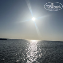 фото из отзыва ID 2739234