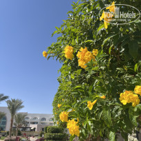 фото из отзыва ID 2739234