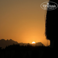 фото из отзыва ID 2739230