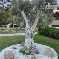 фото из отзыва ID 2739228