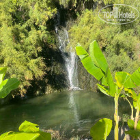 фото из отзыва ID 2739228