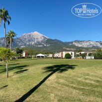 фото из отзыва ID 2739228