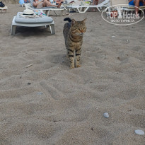 фото из отзыва ID 2739233