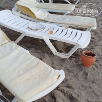 фото из отзыва ID 2739233