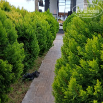 фото из отзыва ID 2739233