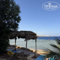 фото из отзыва ID 2739191