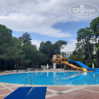 фото из отзыва ID 2739245