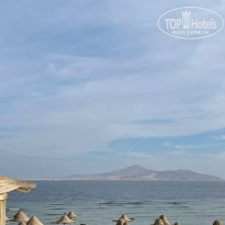 фото из отзыва ID 2739256