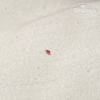 фото из отзыва ID 2739257