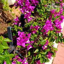 фото из отзыва ID 2739268