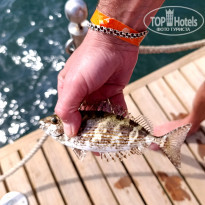 фото из отзыва ID 2739268