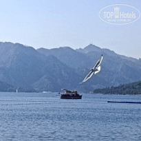 фото из отзыва ID 2739268