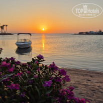 фото из отзыва ID 2739279