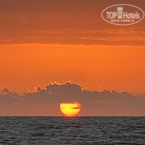 фото из отзыва ID 2739283