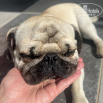 фото из отзыва ID 2739283