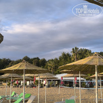 фото из отзыва ID 2739288