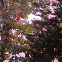 фото из отзыва ID 2739295