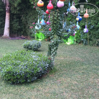 фото из отзыва ID 2739295