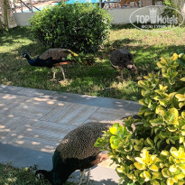 фото из отзыва ID 2739295