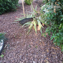 фото из отзыва ID 2739295