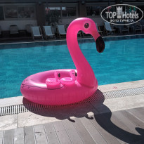 фото из отзыва ID 2739295