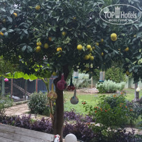 фото из отзыва ID 2739295