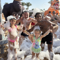 фото из отзыва ID 2739298