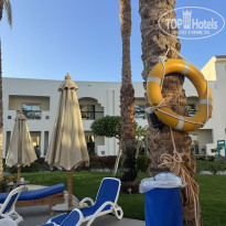 фото из отзыва ID 2739308