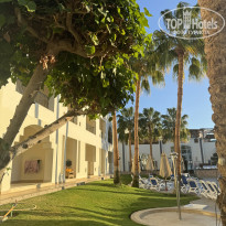 фото из отзыва ID 2739308