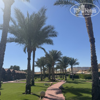 фото из отзыва ID 2739308