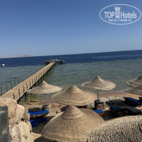 фото из отзыва ID 2739308