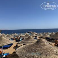 фото из отзыва ID 2739308