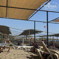 фото из отзыва ID 2739310