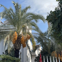 фото из отзыва ID 2739312