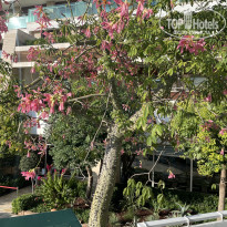 фото из отзыва ID 2739312