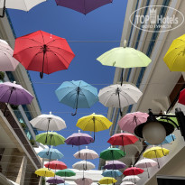 фото из отзыва ID 2739312