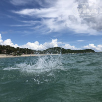 фото из отзыва ID 2739303