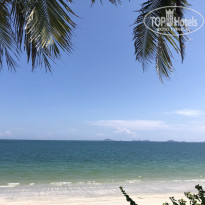 фото из отзыва ID 2739303