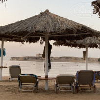 фото из отзыва ID 2739311