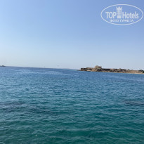 фото из отзыва ID 2739327