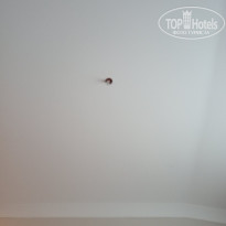 фото из отзыва ID 2739332