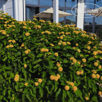 фото из отзыва ID 2739165