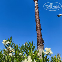 фото из отзыва ID 2739165